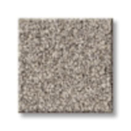 Shaw Munsey Park Cocoa Texture Carpet with Pet Perfect-Sample